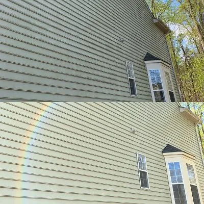 Alt text for the image